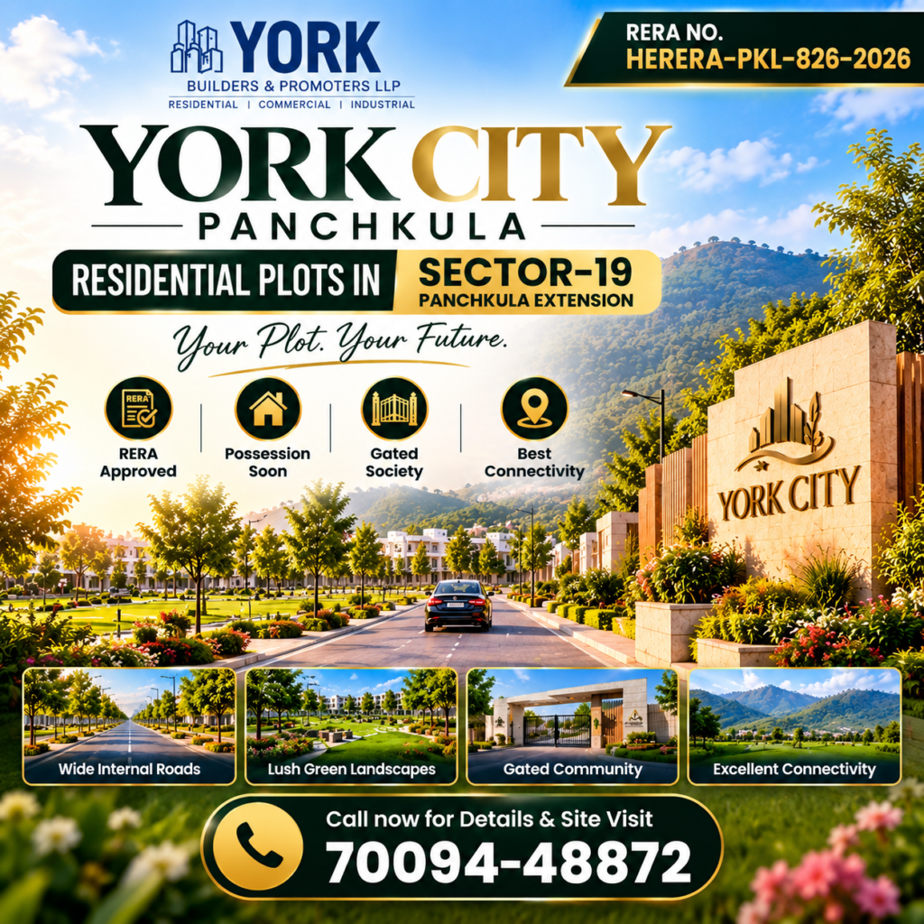 york city plots panchkula